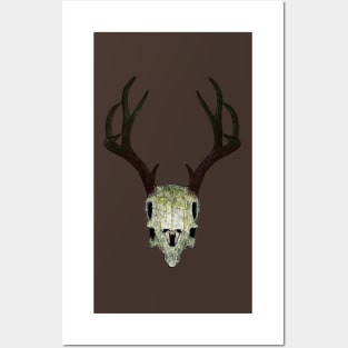 Plant Deer Posters and Art